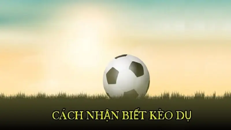 Các dấu hiệu nhận biết kèo dụ cho người mới